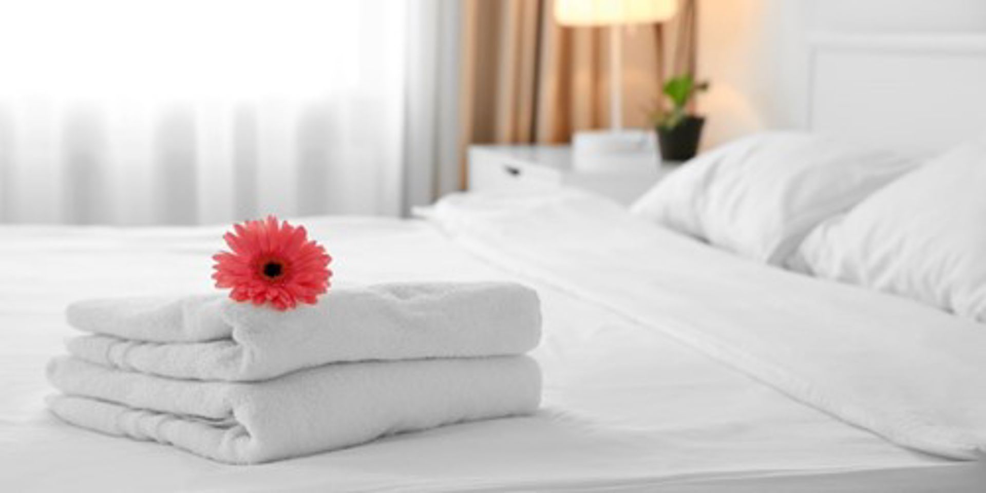 Hotel Banner